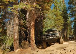 Red_Lake_OHV-Trail_2066