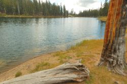 Red_Lake_OHV-Trail_2171